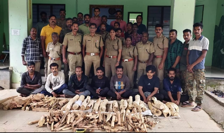 അട്ടപ്പാടിയിൽ  200 കിലോ ചന്ദനവുമായി  എട്ട് പേർ പിടിയിൽ