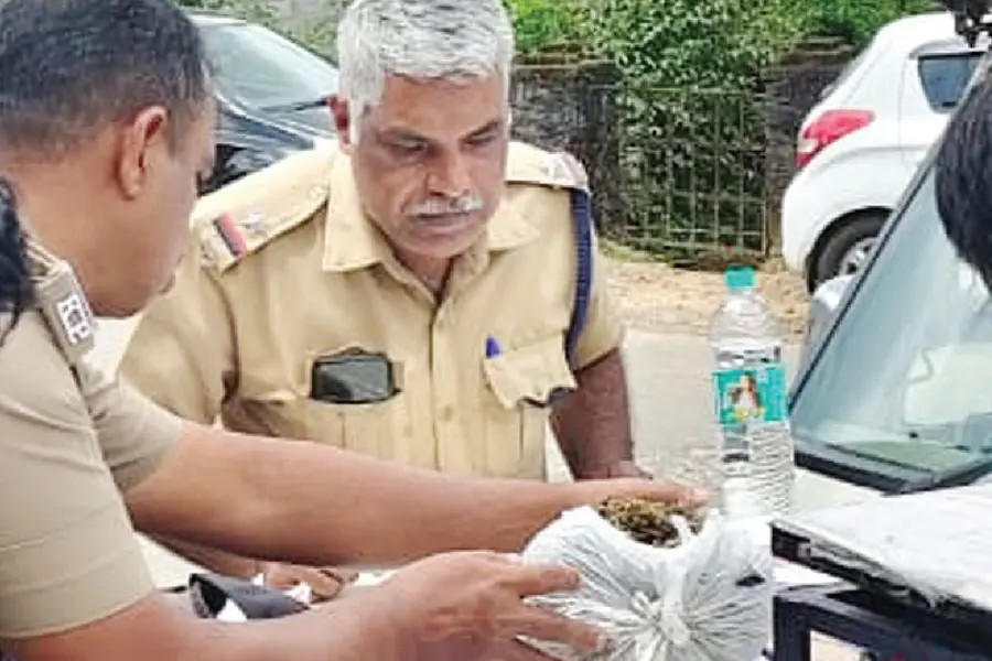 വാഗമണ്ണിൽ കാറിൽ നിന്ന് 440 ഗ്രാം കഞ്ചാവ് കണ്ടെത്തി ;കാർ യാത്രക്കാരായ യുവാക്കൾ പിടിയിൽ